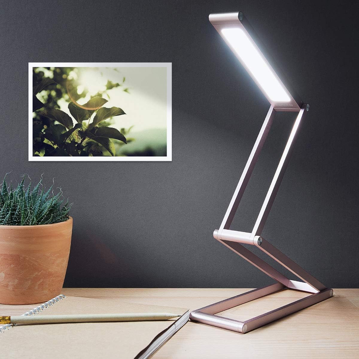 Lampe De Bureau Led Rhafayre - Lampe Sans Fil Pliable En Aluminium Avec Micro Usb Et Crochet Amovible - Lampe De Chevet Pour Salon - Or Rose
