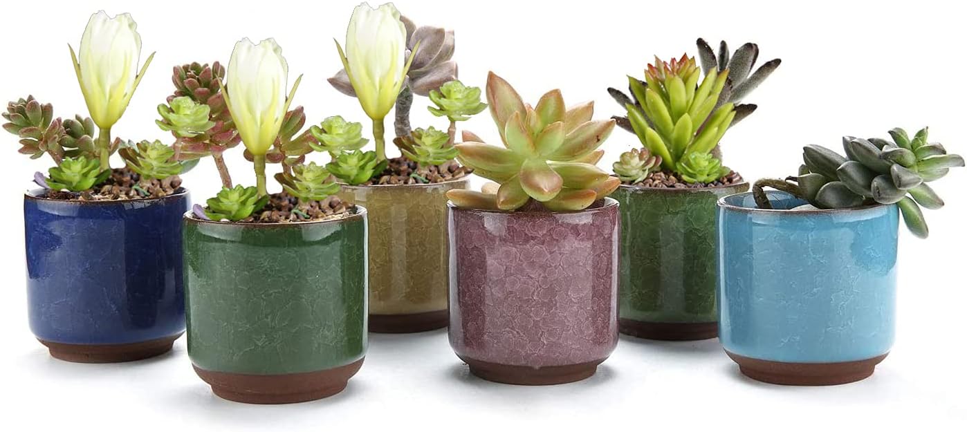 Morceaux Pots De Plantes En Céramique, Mini Pot De Fleurs, Cactus Fleurs Récipient Jardinière, Pour Planter Des Plantes Succulentes, Des Cactus