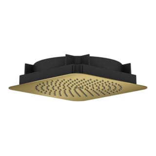 Axor - Citterio c - Kopfbrause 27x27 cm, Goldoptik poliert 28794990
