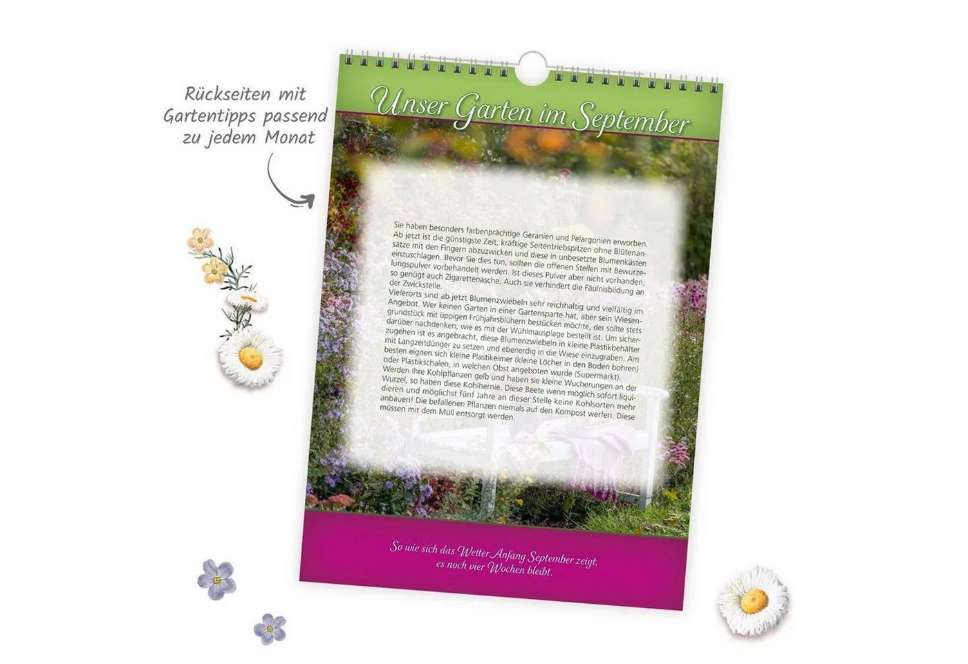Trötsch Verlag Wandkalender TRÖTSCH - Classickalender Gartenfreunde 2027 Bild 4