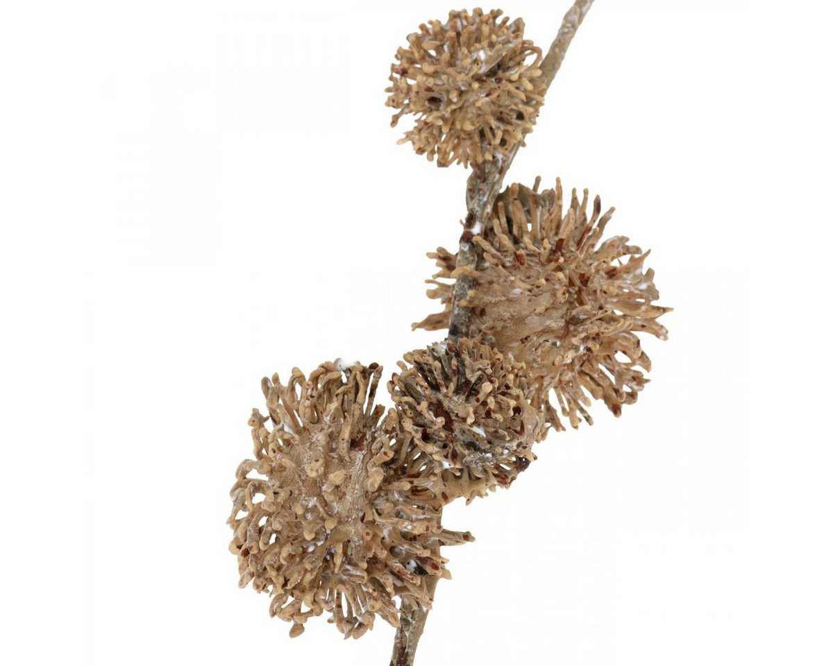 Künstliche Zimmerpflanze Dekozweig Herbst, künstliche Platane, Braun 82cm, Florists Products, Höhe 2 cm Bild 3