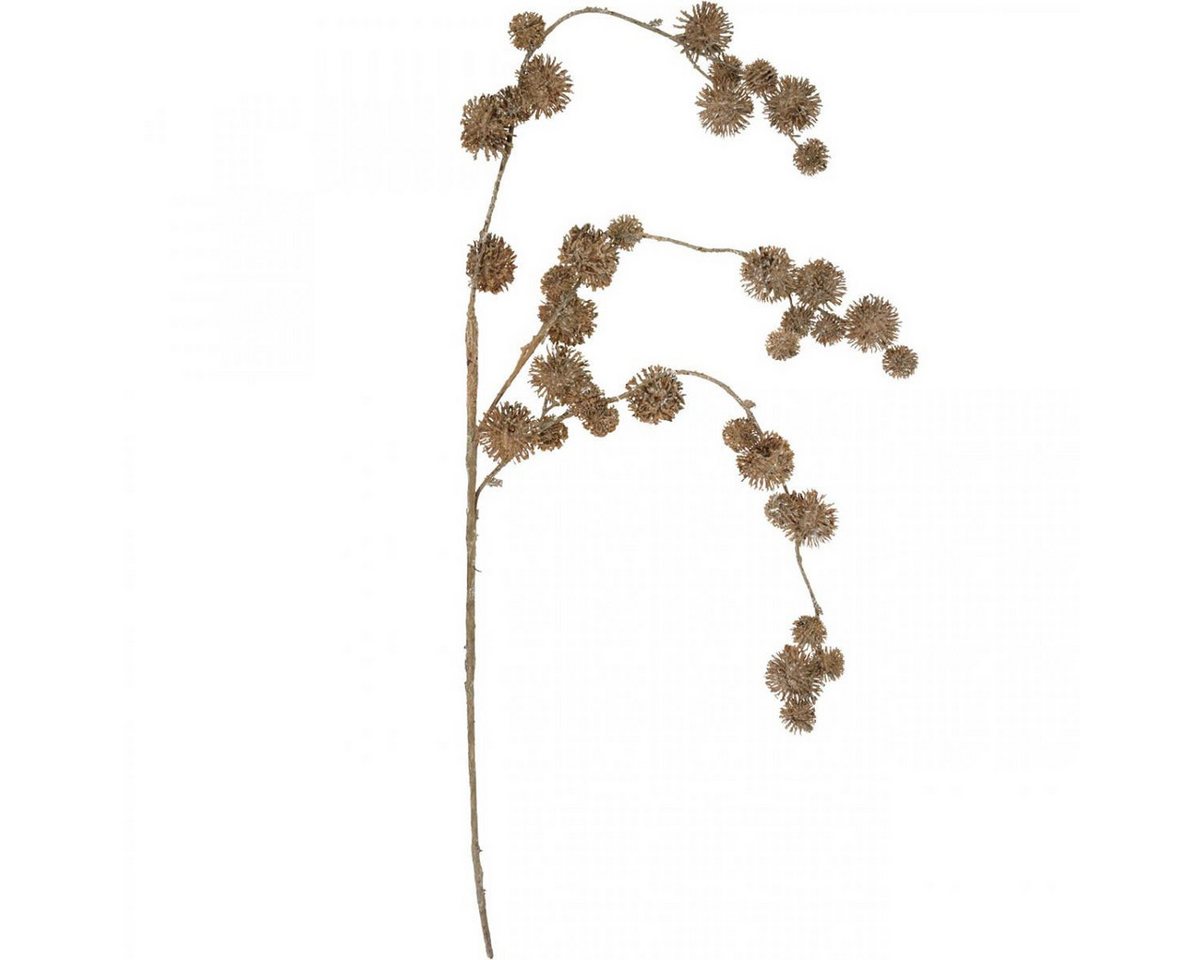 Künstliche Zimmerpflanze Dekozweig Herbst, künstliche Platane, Braun 82cm, Florists Products, Höhe 2 cm Bild 4