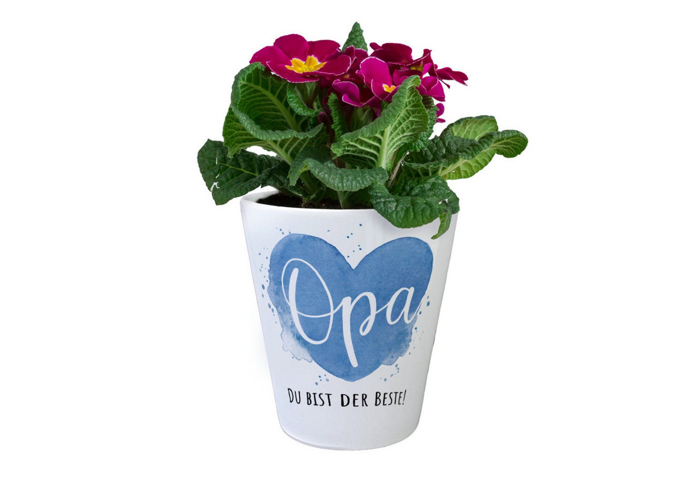 speecheese Blumentopf Bester Opa Blumentopf mit Spruch Opa Du bist der Beste Bild 2