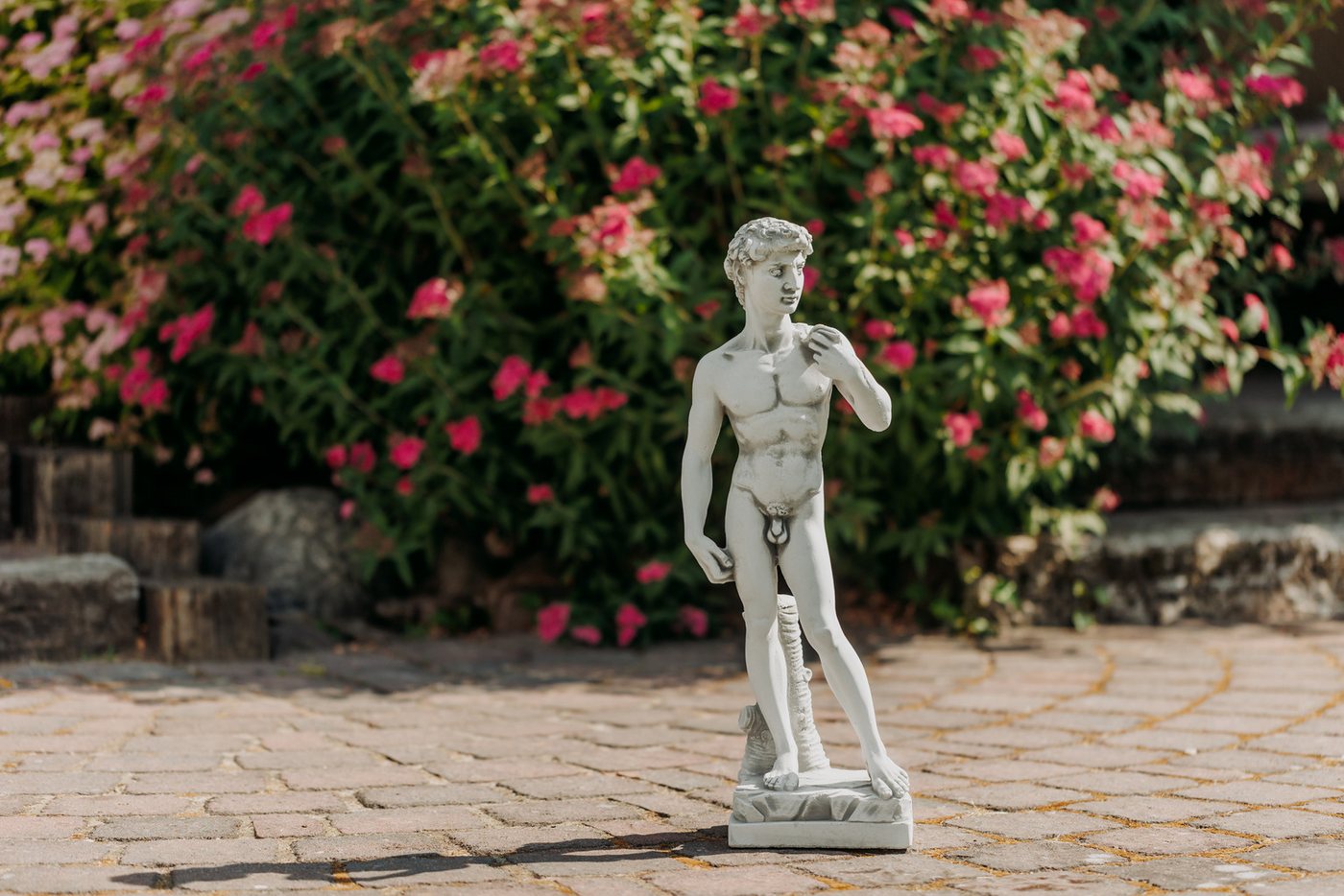 gartendekoparadies.de Gartenfigur Statue David von Michelangelo, Steinfigur, H. 58 cm, 9 kg, Frostsicher Bild 3