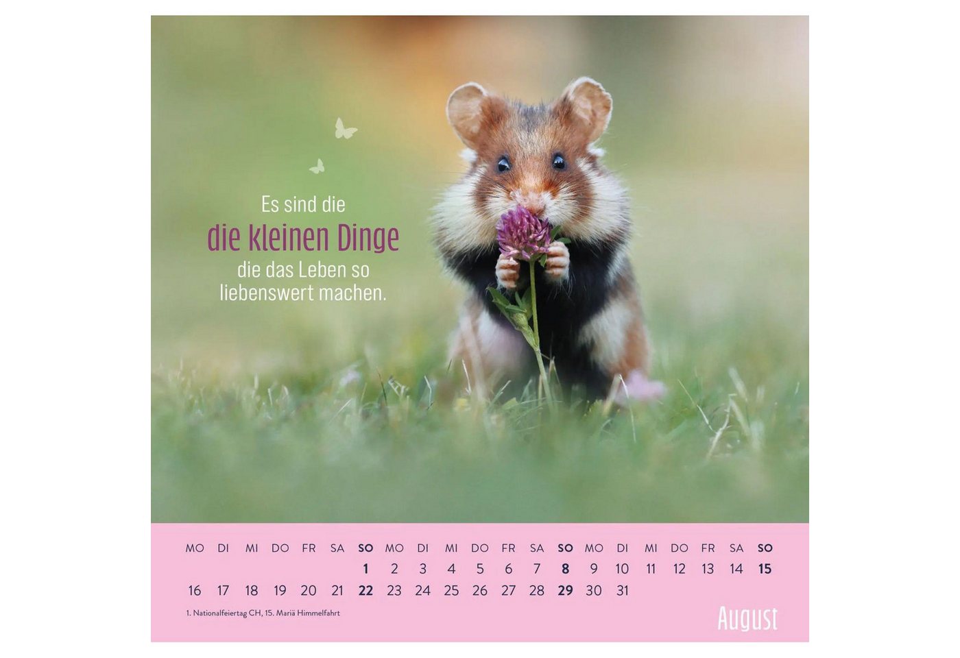 groh Verlag Wandkalender Wandkalender 2027: Kleine Glücksbringer für dein Jahr