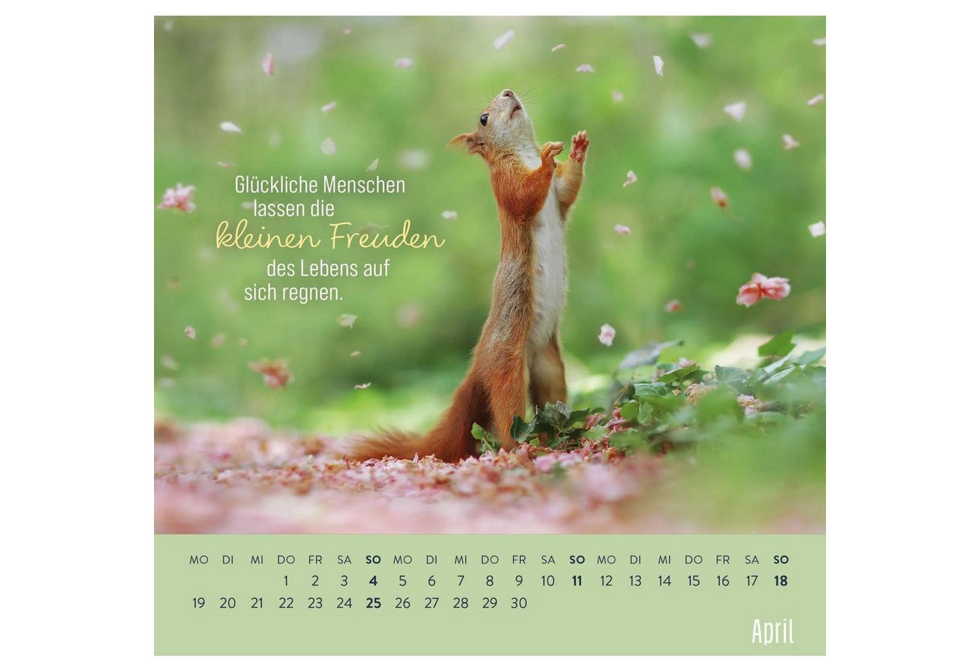 groh Verlag Wandkalender Wandkalender 2027: Kleine Glücksbringer für dein Jahr Bild 2