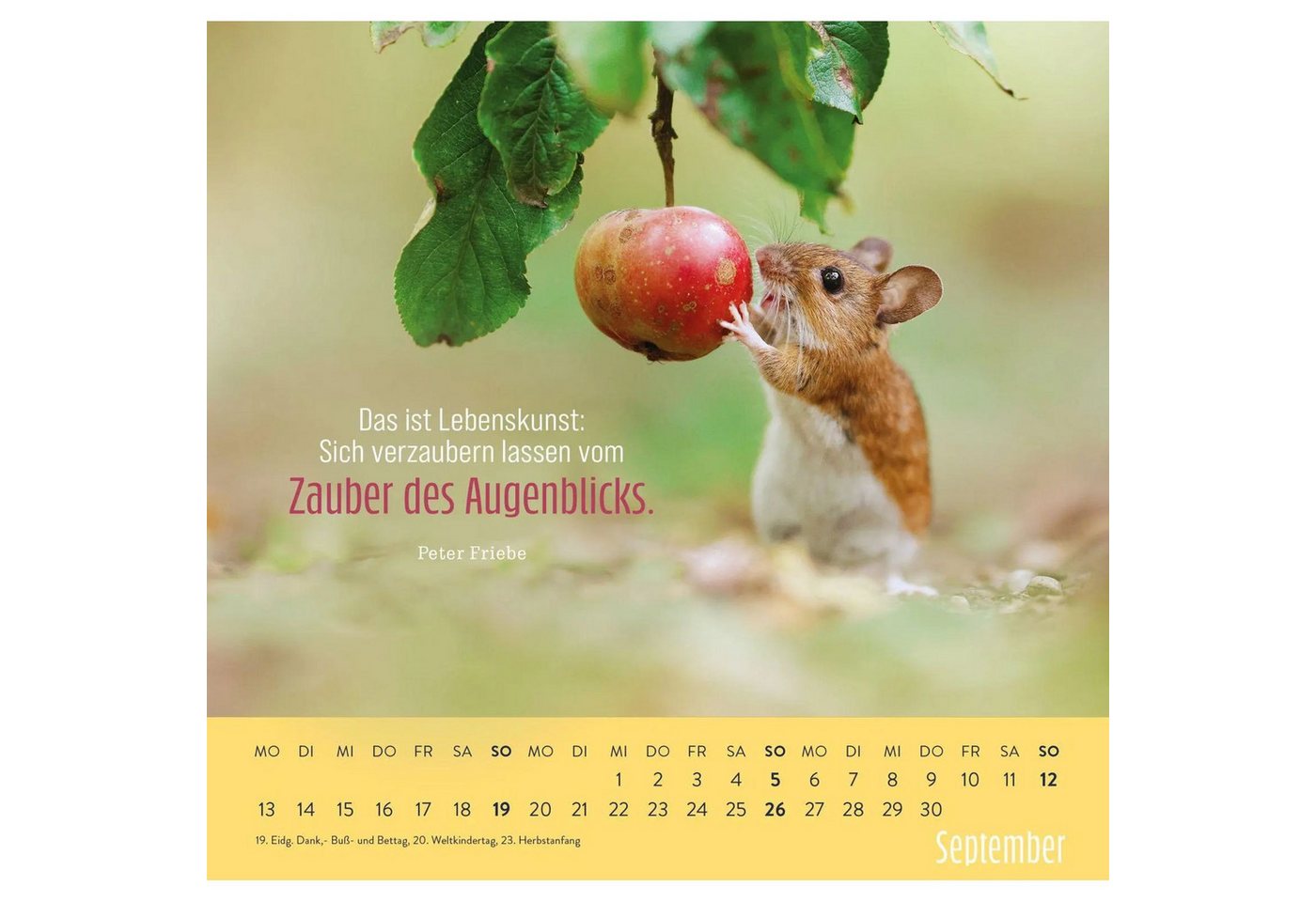 groh Verlag Wandkalender Wandkalender 2027: Kleine Glücksbringer für dein Jahr Bild 3
