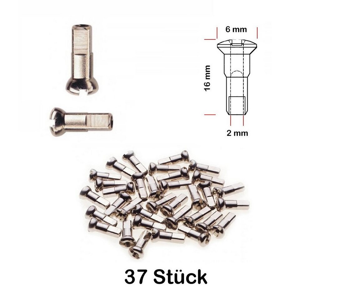 Büchel Fahrrad-Laufrad 37 Stück Speichen Nippel Felge Laufrad ROSTFREI 2,0 mm x 16mm MESSING