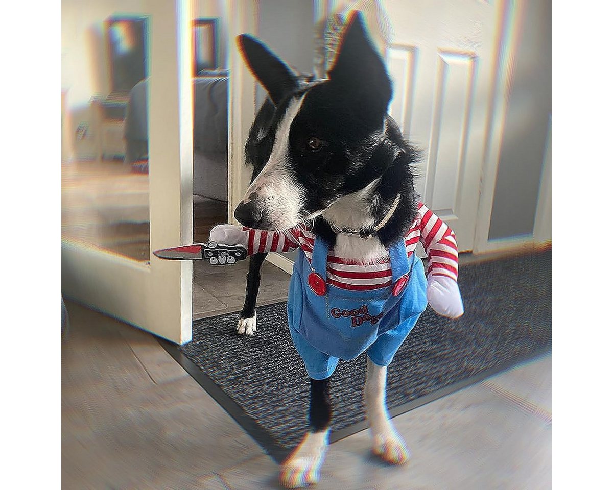 FELIXLEO Hundepfeife Halloween Hundekostüm Deadly Doll Cosplay Tier Party Kostüm M, (1-St) Bild 2