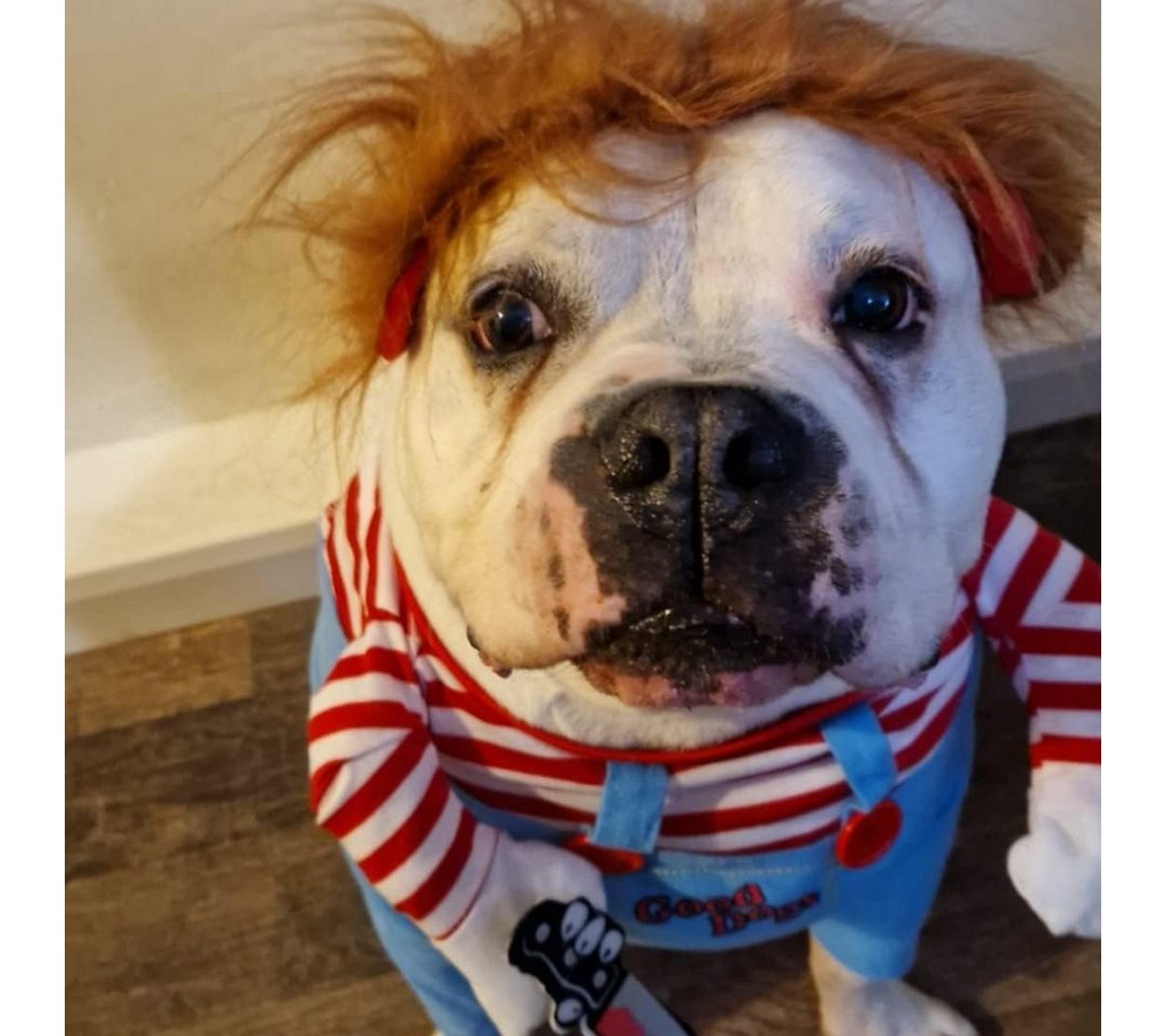 FELIXLEO Hundepfeife Halloween Hundekostüm Deadly Doll Cosplay Tier Party Kostüm M, (1-St) Bild 4