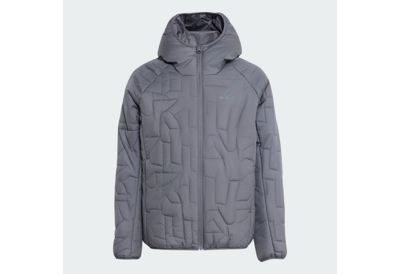 adidas TERREX Outdoorjacke TERREX KIDS XPERIOR CLIMAWARM GEFÜTTERTE JACKE (1-St)