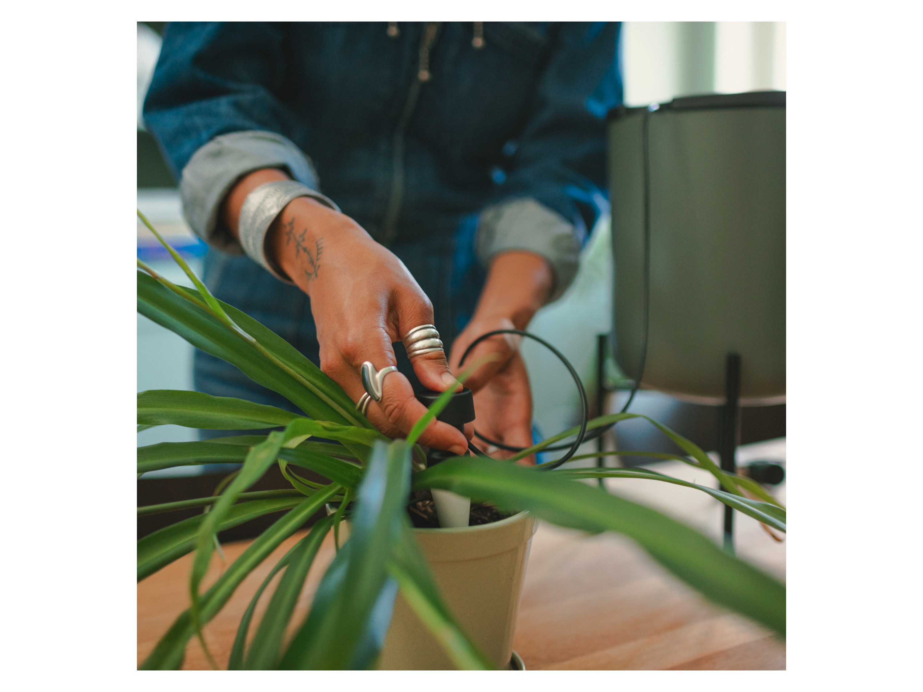 FISKARS Plant Care Selbstbewässerungssystem