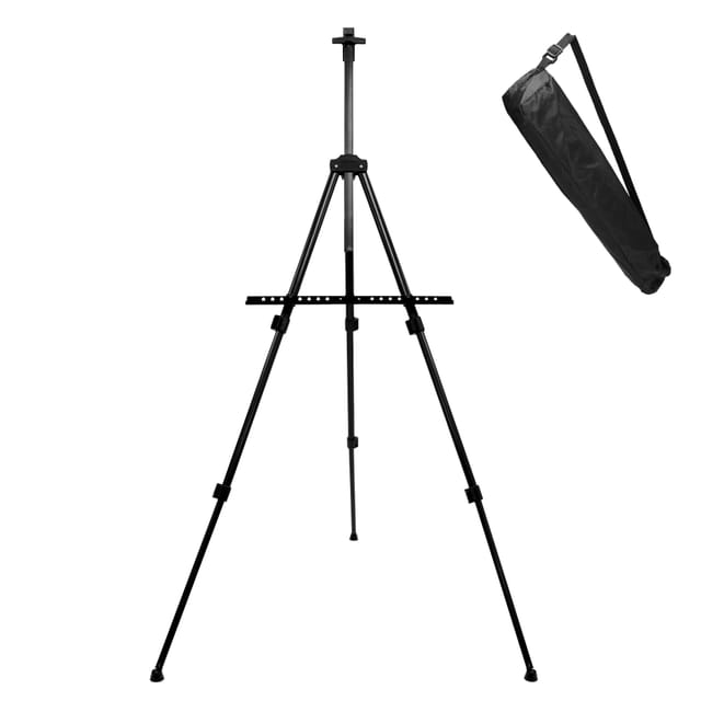 Collapsible easel with adjustable height and carrying case