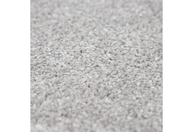 Paco Home - Teppich Für Wohnzimmer Einfarbig Kurzflor Schlicht Und Modern, In Silber 240x340 cm
