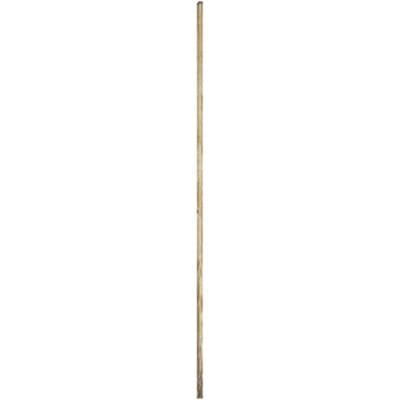 Löffert Besenstiel Espe natur 1200x24 mm