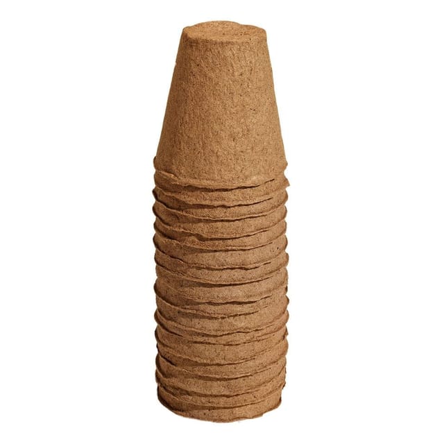 Torftöpfe 6 cm natur rund 24 Stück Anzucht Pflanztopf Anzuchttöpfe für Setzlinge