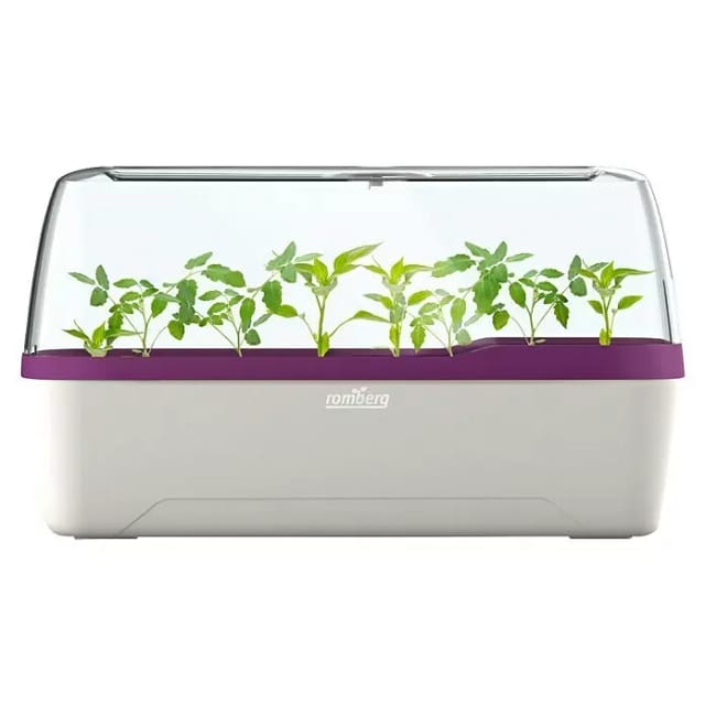 Boqube l plus Gewächshaus & Pflanzkasten-System 41x17x23cm mit Belüftung weiß/pflaume - Romberg