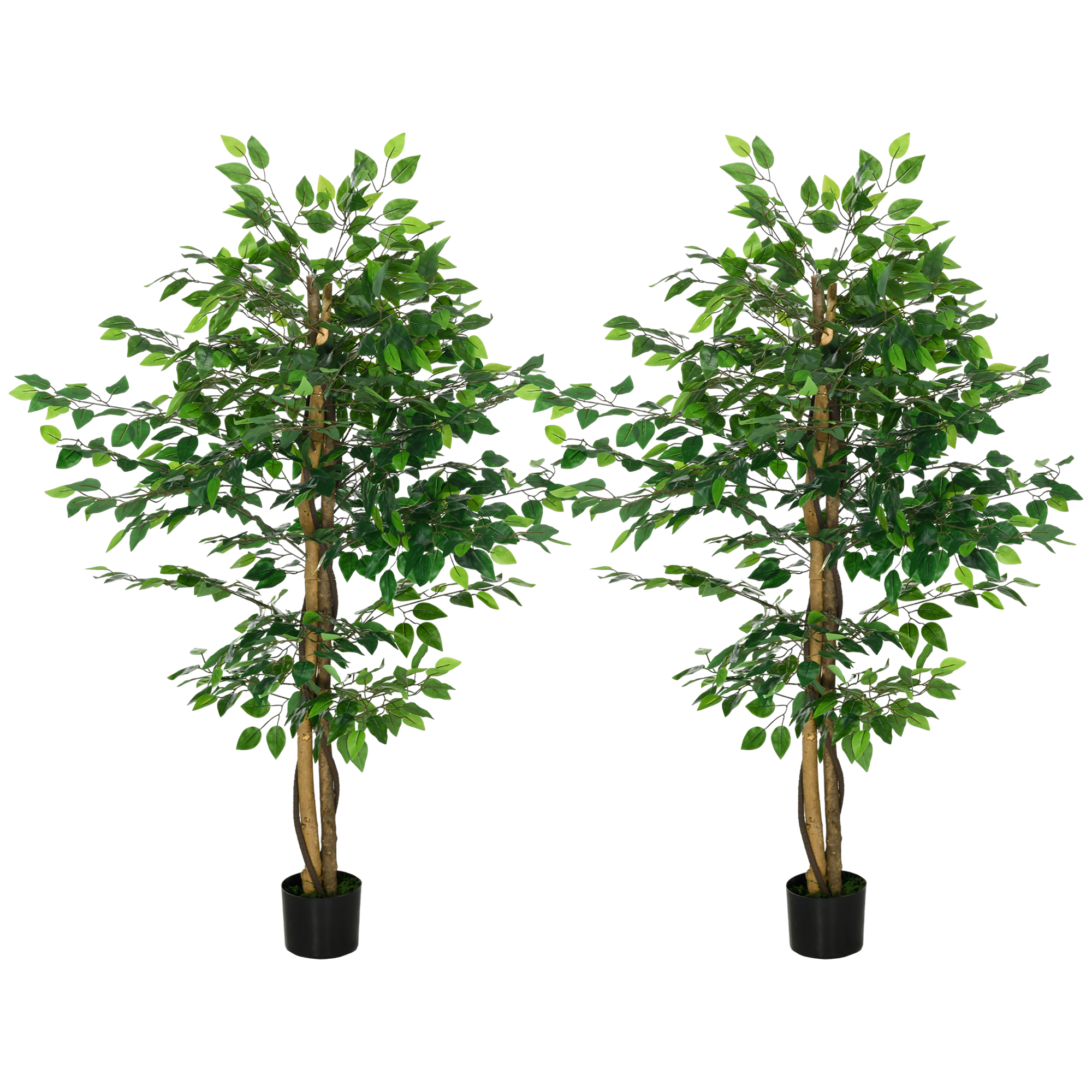 Set Mit 2 Künstlichen Ficusbäumen, 1,50 M Stamm, Äste, Ranken, Flechten, Realistische Blätter, Inklusive Grünem Topf
