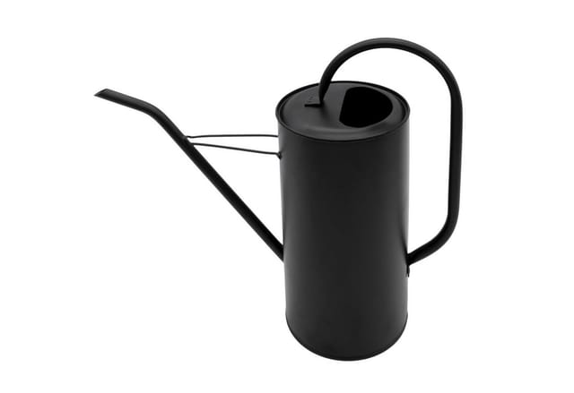 Metall Blumen Gießkanne schwarz matt - 3 l - Gießkanne mit langem Ausguss - Zimmperpflanze Büro Wasser Kanne elegant
