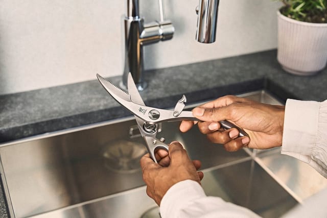 Zwilling Geflügelschere mit Aushebenagel
