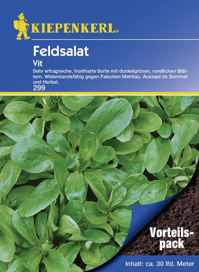 Kiepenkerl Feldsalat Vit Vorteilspack ca. 30 lfd. Meter Gemüsesamen
