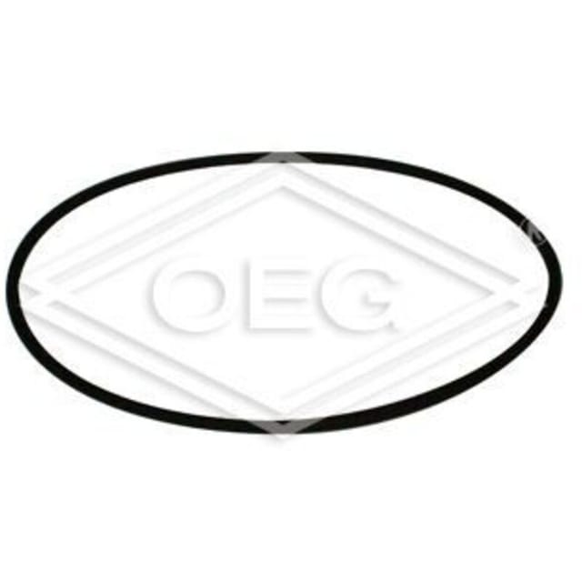 Dichtung D 93x3 mm4