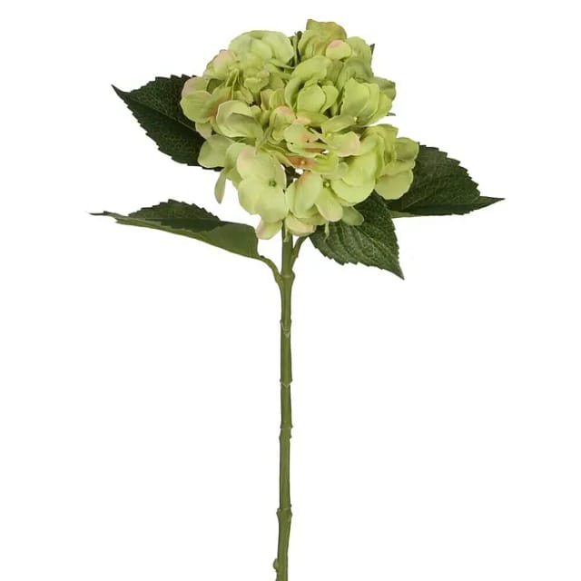 Mica künstliche Hortensie grün, 51 cm Kunstpflanzen