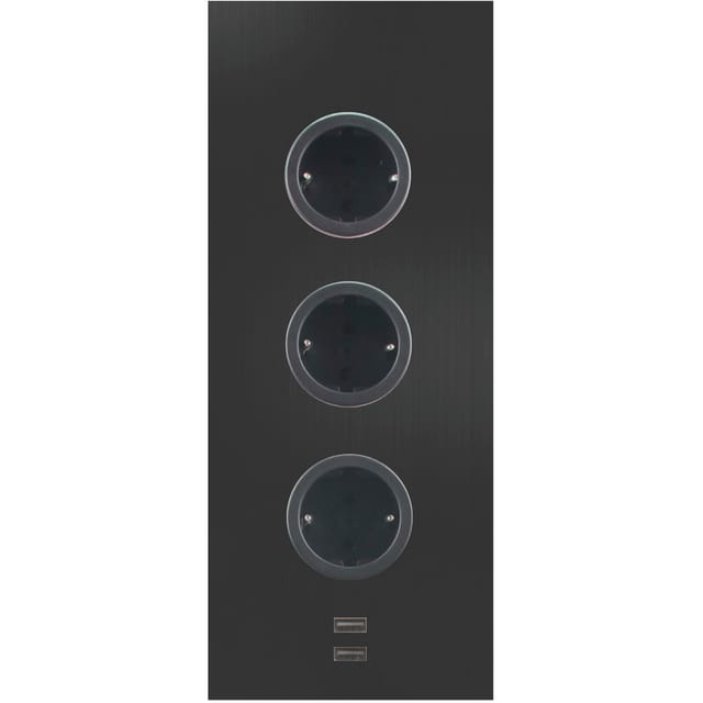 Caressi - Steckdosenelement 3ST29 3 Schukosteckdosen 2 USB-Charger schwarz