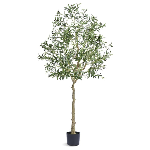 Olivenbaum Künstlich 81x81x179cm Kunstpflanze Pe Künstliche Pflanzen Fake Plastikpflanzen Im Topf Kunstblume Geruchslos Wasserdicht Ideal Zur Dekoration Von Schlafzimmer Arbeitszimmer Wohnzimmer - Vevor