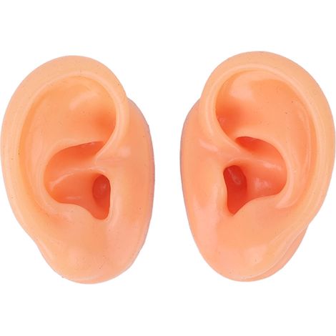 Silikon-ohrmodell, Halterung Für In-ear-kopfhörer Und Hörgeräte, Ausstellungsmodell Für Konferenzen Und Kurse.