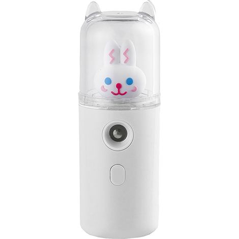 Mini-gesichtsspray (30 Ml), Wiederaufladbar Per Usb, Niedlicher Gesichtsbefeuchter Mit Weißem Licht