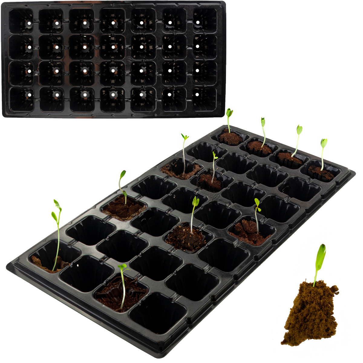 Tg71795 Multi-pots 28-kammer Mehrplatten-anzuchttrays Produktionstöpfe