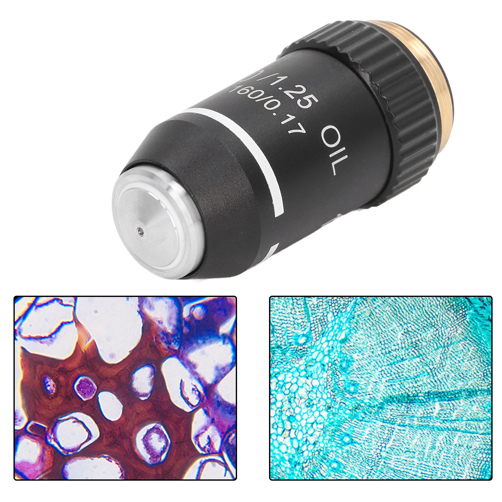 Schwarzes Achromatisches Objektiv 195 Für Mikroskope, 100-fache Vergrößerung, Ölimmersion, 20,2-mm-gewinde, Standard-rms-größe