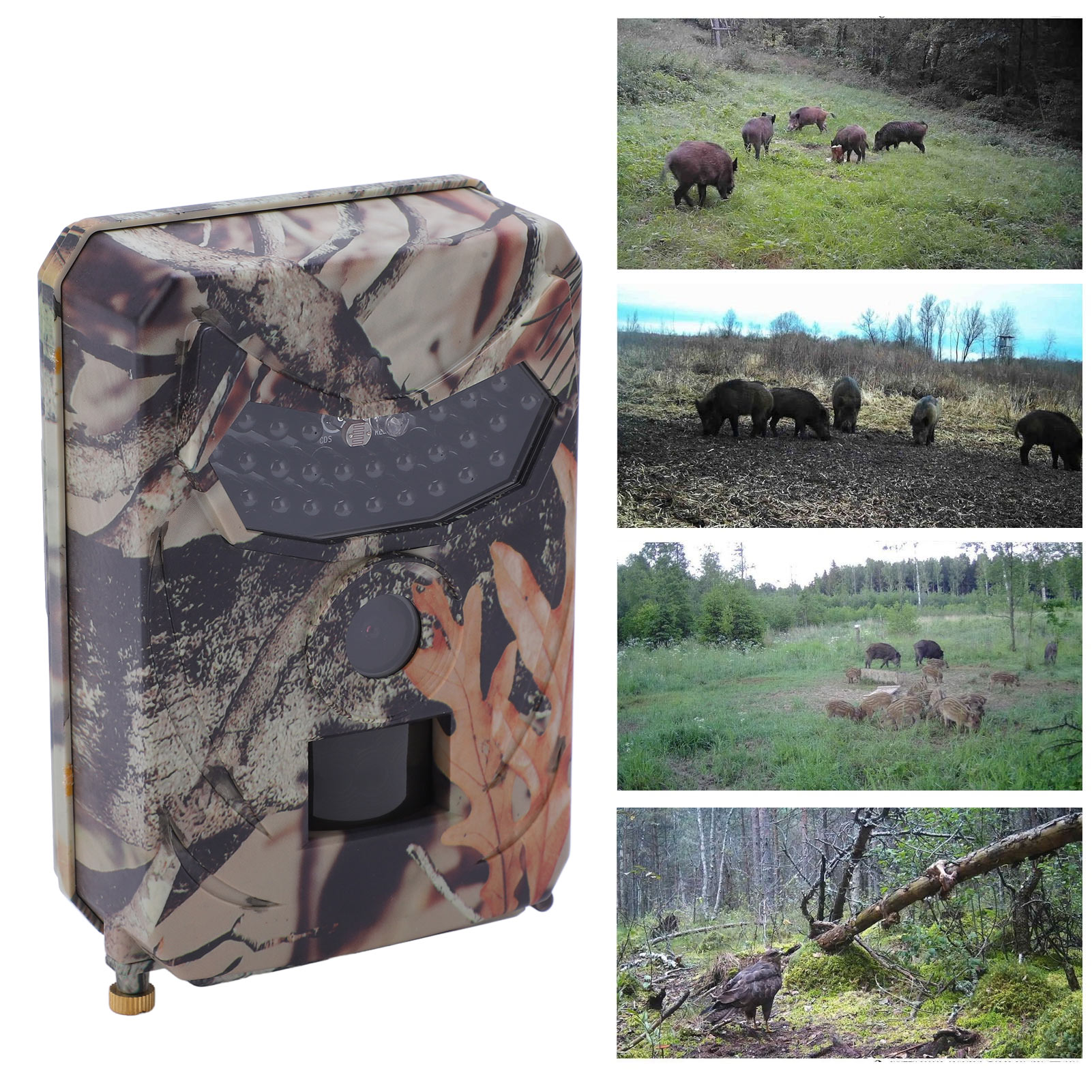 Pr100 1080p Infrarot-kamera In Hoher Auflösung, Ip56 Wasserdichter Camcorder