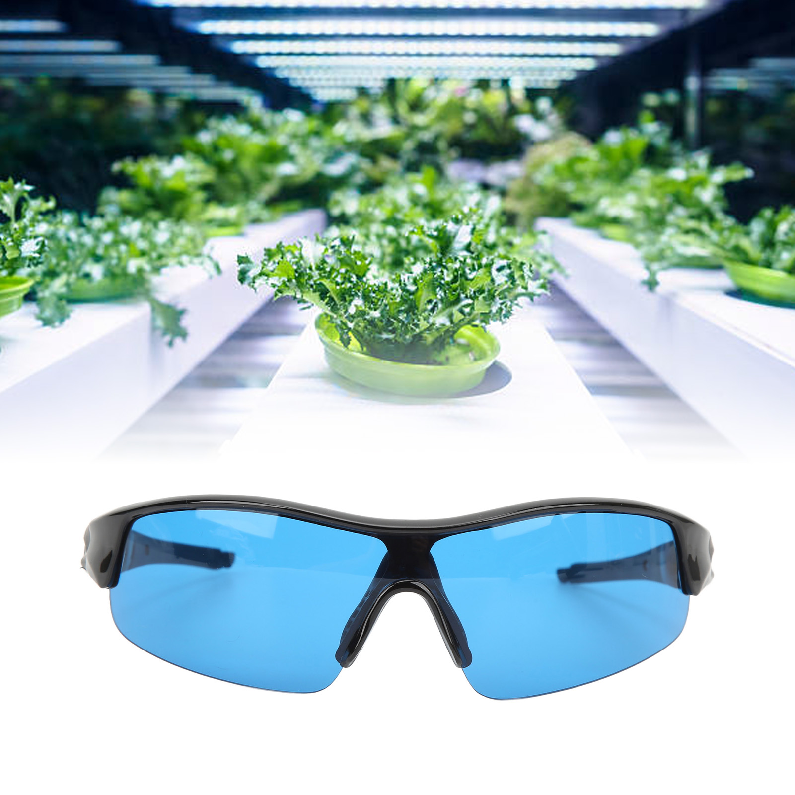 Uv-schutzbrillen Für Den Innenbereich Zum Anpflanzen, Geeignet Zum Schutz Vor Hps- Und Led-beleuchtung (blau).