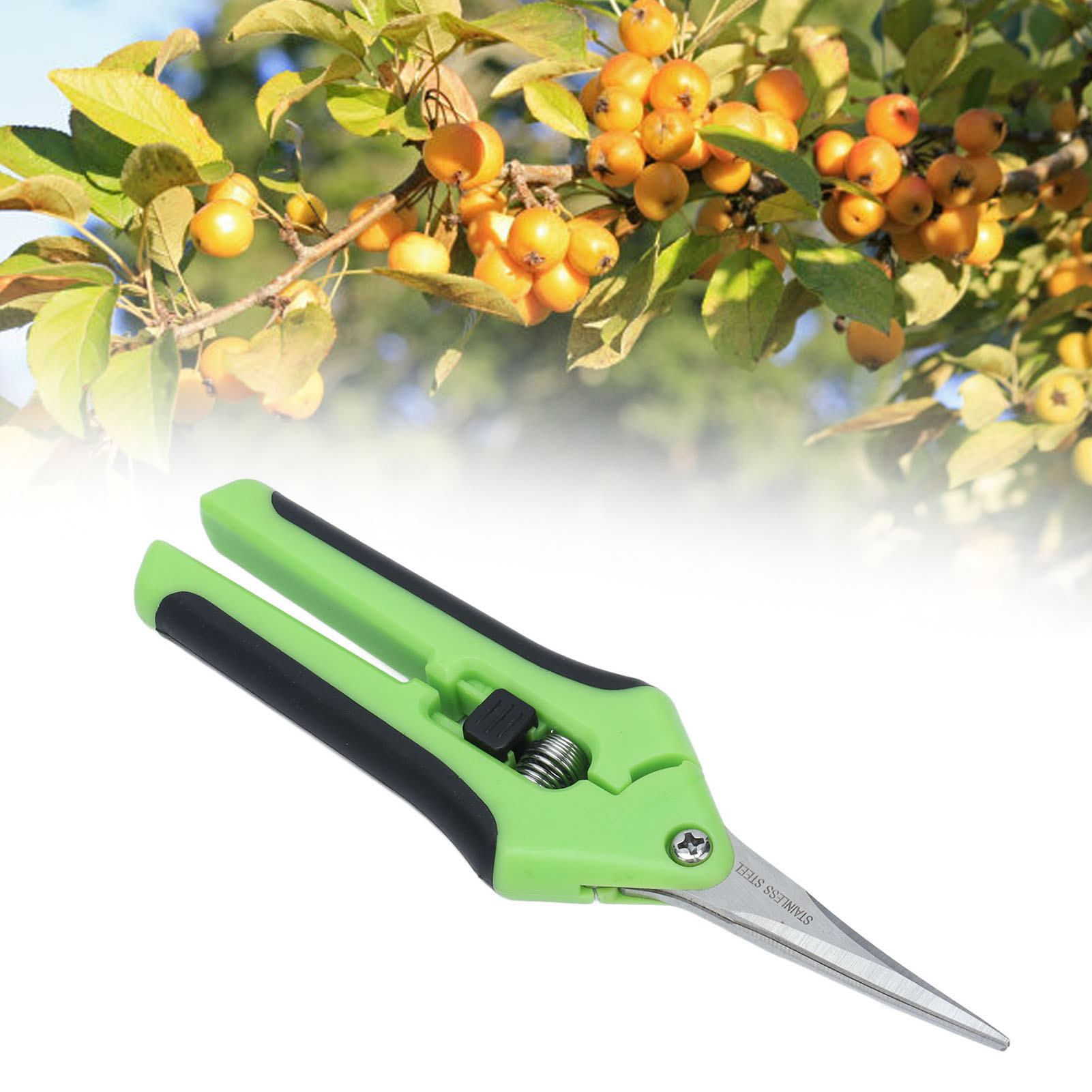 6,5 Zoll Lange Gartenschere Aus Edelstahl Mit Gebogenen Spitzen, Manuelle Gartenschere, Grün.