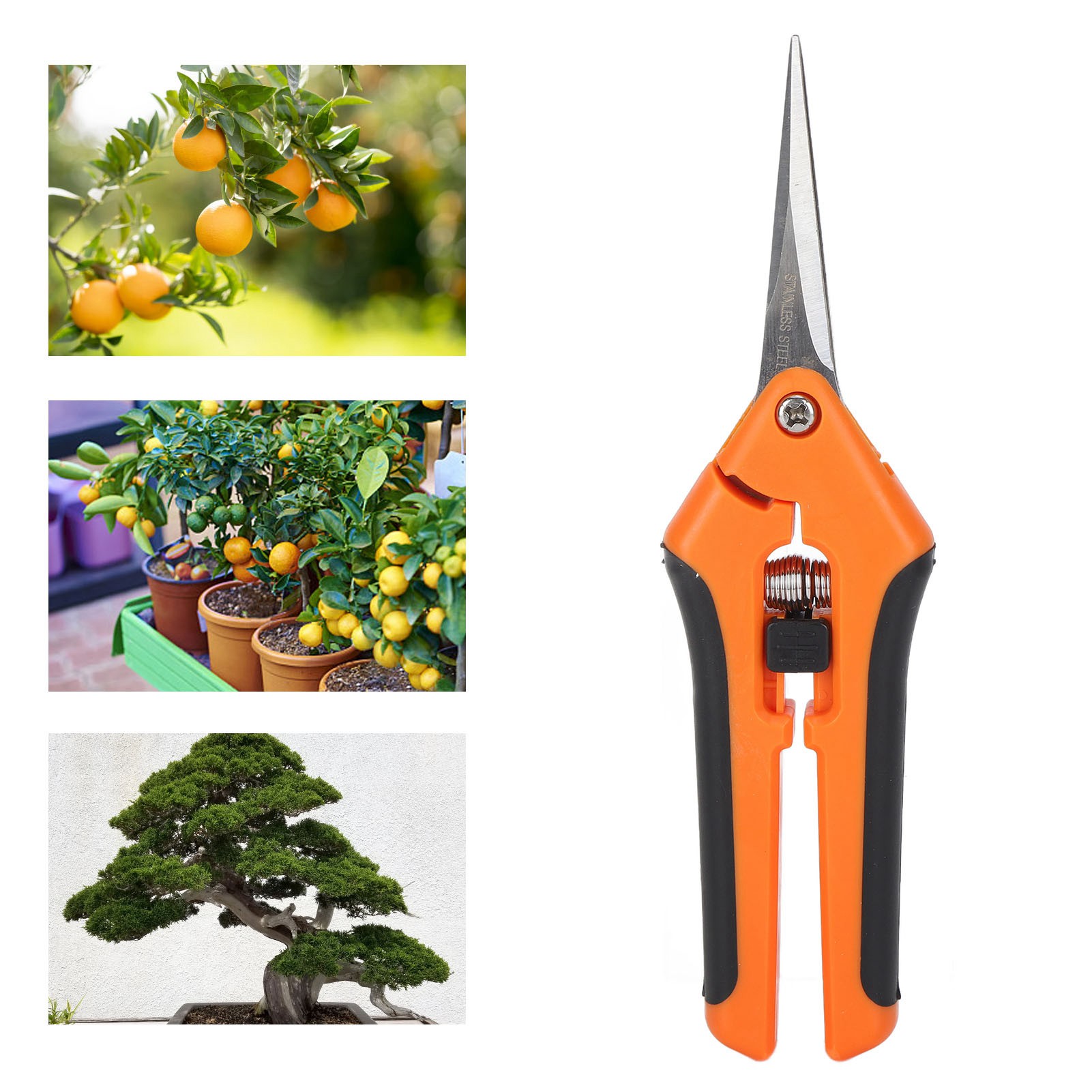 6,5 Zoll Lange, Manuelle Gartenschere Mit Gerader Klinge Aus Edelstahl, Orange.