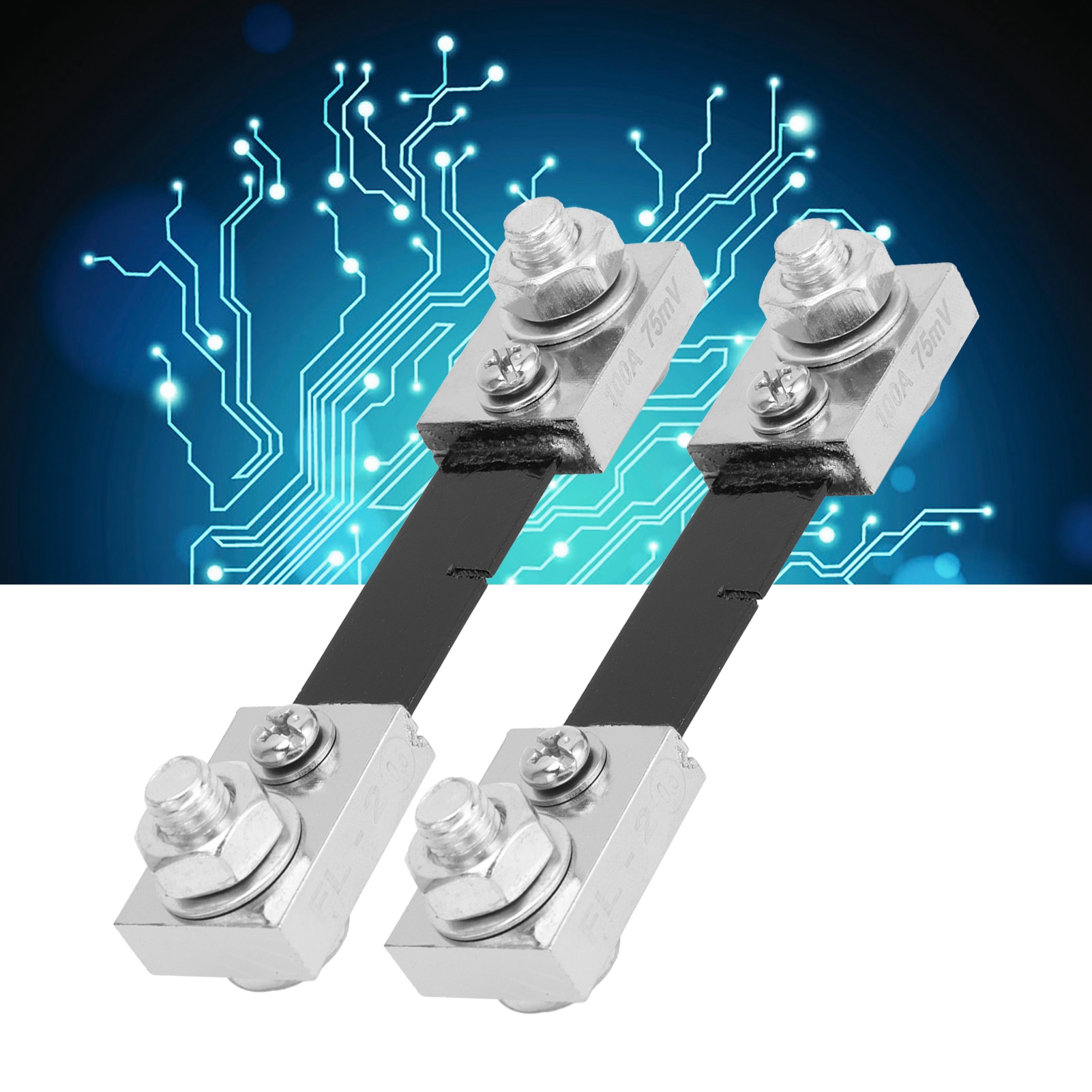 Zwei Externe Fl-2 Shunts Zu Verkaufen, Shunt Für 100a Amperemeter.
