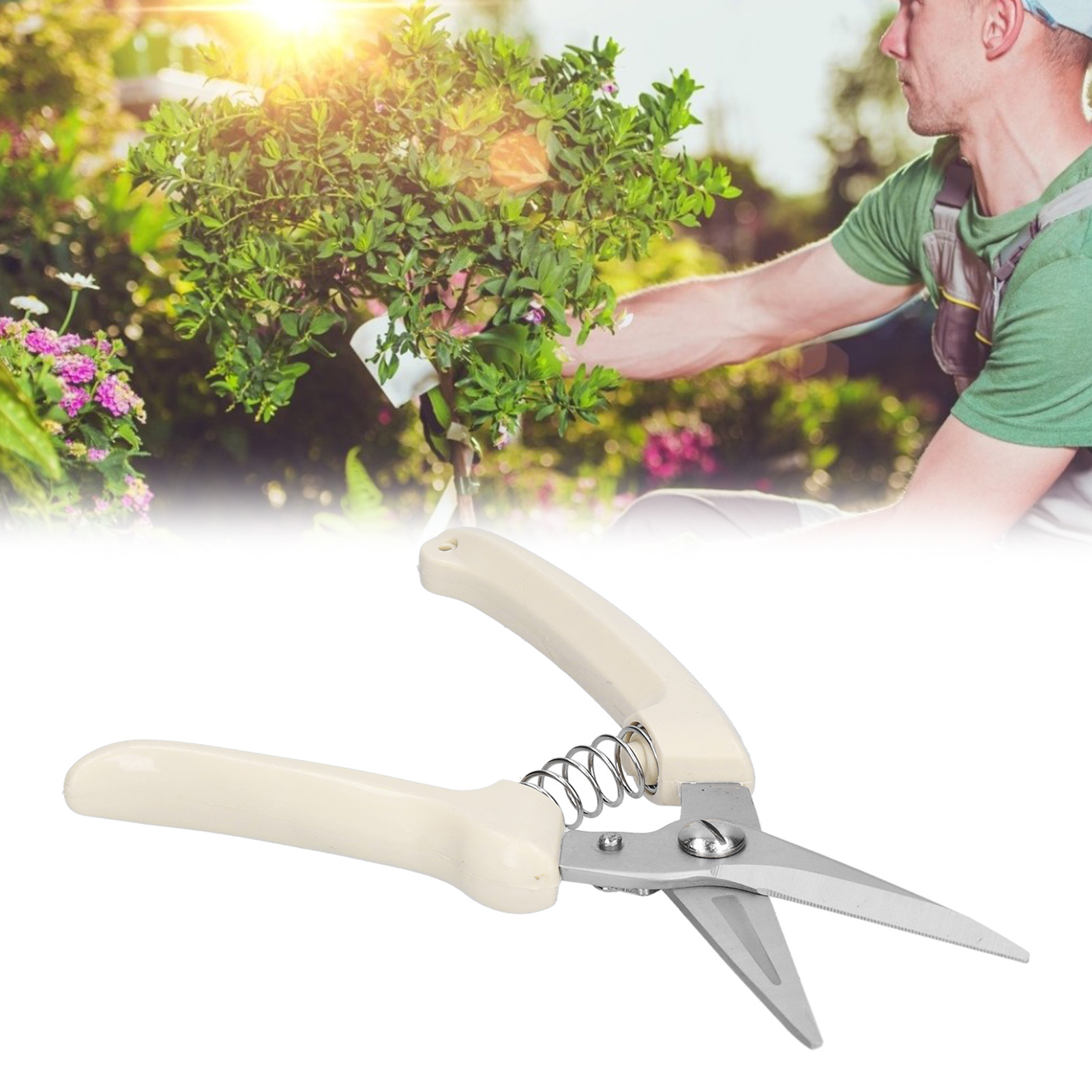 Gartenschere Mit Geraden Klingen, Elfenbeinweißem Griff, Artikelnummer 11806, Für Dicke Äste, Topfpflanzen, Gartenarbeit Und Pflanzenbau.