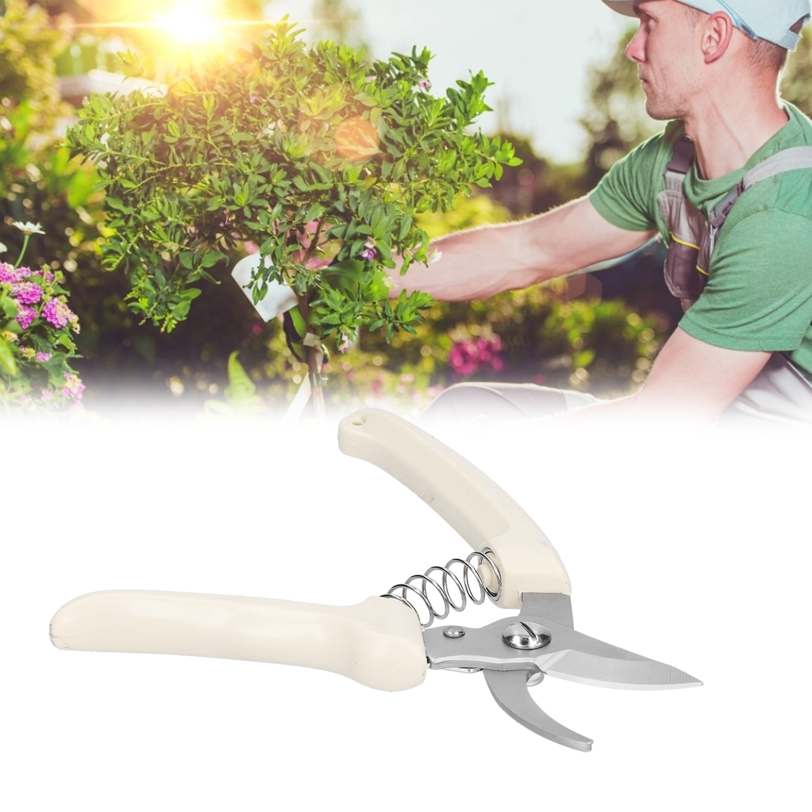Gartenschere Mit Elfenbeinweißem Griff Und Gebogener Spitze, Modell 11805, Für Gartenarbeit Und Gartenbau.