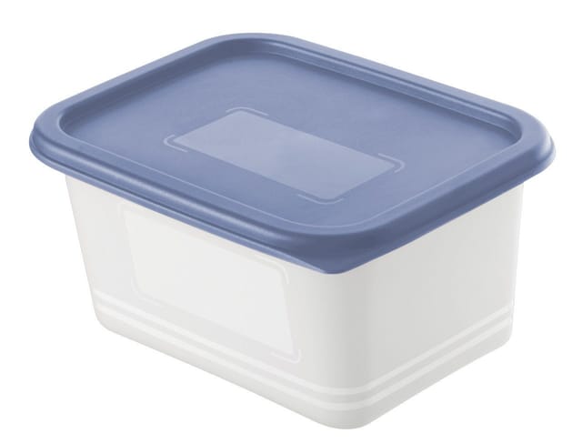 Rotho - Gefrierdosen-Set Domino 4 x 0,75 l blau Frischhaltedose Kühlschrankdose Vorratsdose