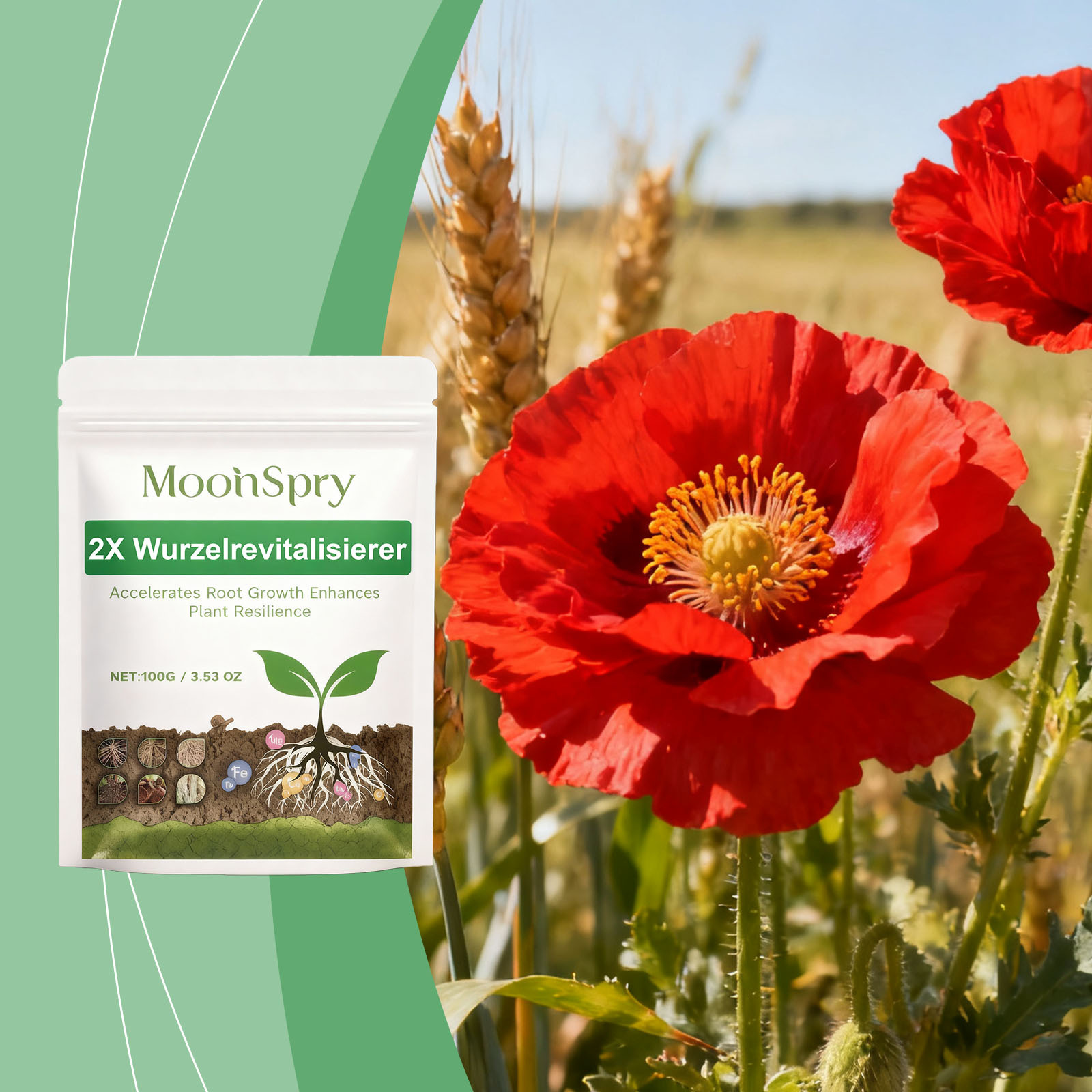 Bewurzelungspulver Für Pflanzen, Gartenarbeit, Grünpflanzen Und Blumen Fördert Das Wurzelwachstum Und Verbessert Die Bodenfruchtbarkeit. Bewurzelungspulver – 100 G -- Biemmedue