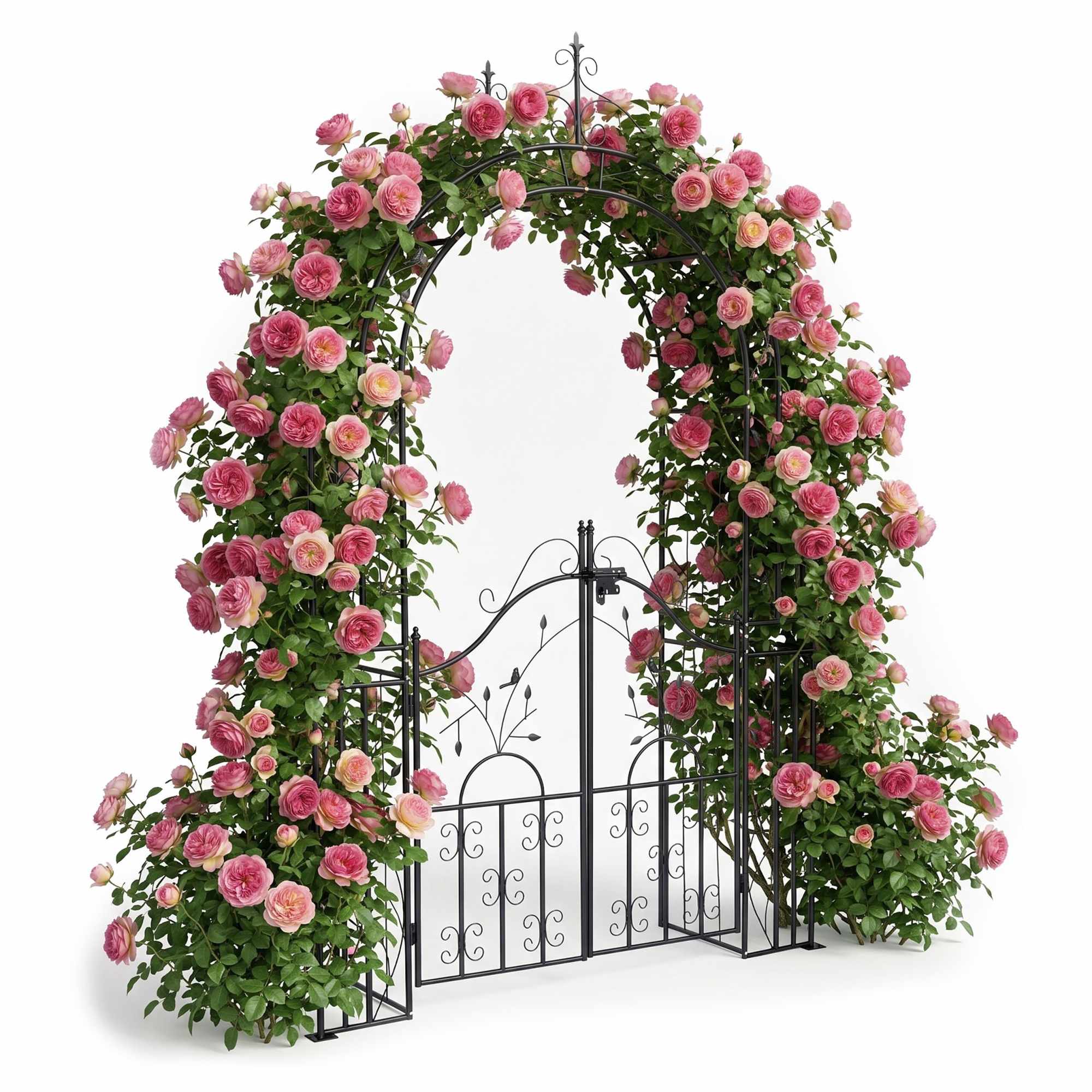 Rosenbogen Aus Schwarzem Metall Mit Tor – 235 X 144 X 45 Cm