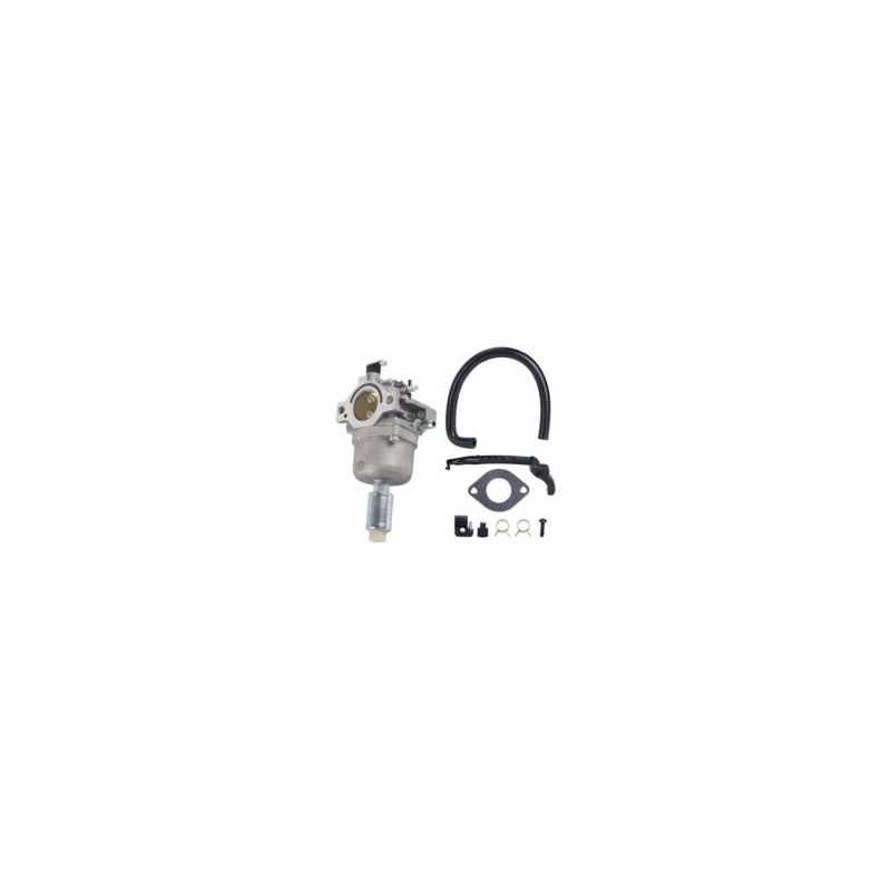 Zvd Eosnow Ersatzvergaser Für Gartenrasenmäher, Passend Für Nikki 697203, Briggs & Stratton 795873 Crezuo
