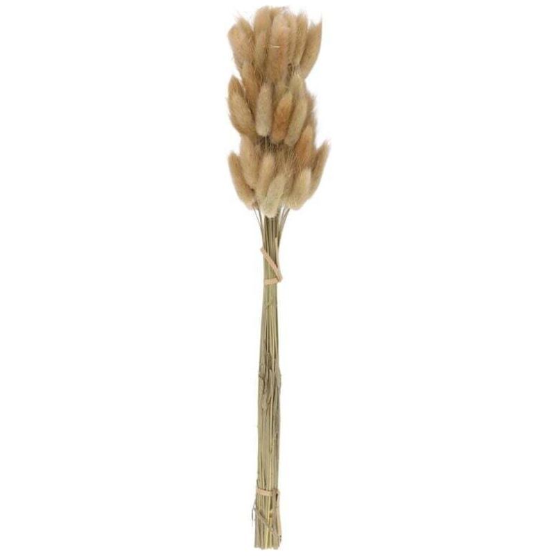 Set Mit 50 Natürlichen Trockenblumensträußen In Naturfarben, Für Hochzeitsdekoration, Kaninchenschwanzgras Crezuo