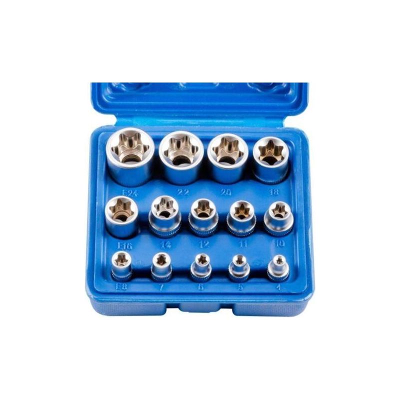 Satz Mit 14 E4-e24 Torx-innensechskant-steckschlüsseln (e-torx Crezuo)