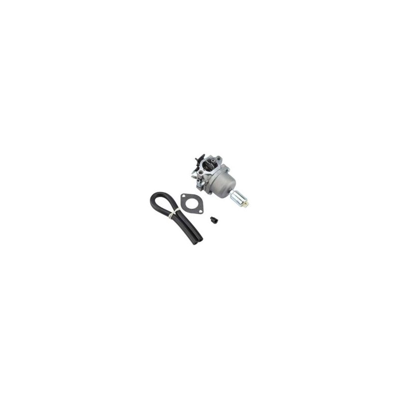 Ersatzvergaser Für Briggs & Stratton Rasenmähermotoren Von 14,5 Bis 21 Ps, Teilenummern 796109, 591731 Und 594593 Crezuo