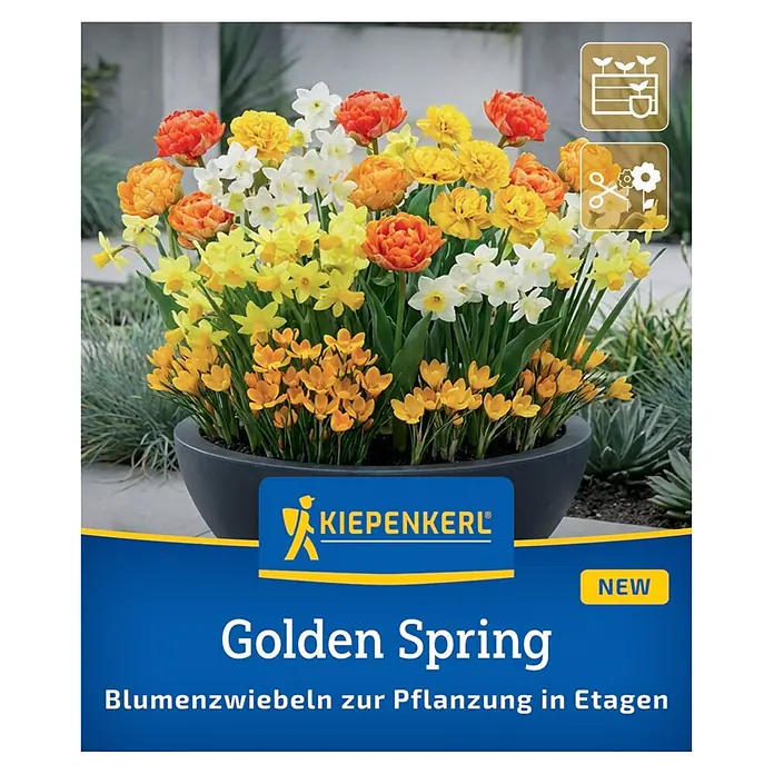 Kiepenkerl Profi-Line Frühlingsblumenzwiebel-Mix Golden Spring