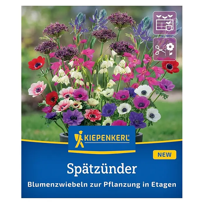 Kiepenkerl Profi-Line Sommerblumenzwiebel-Mix Spätzünder