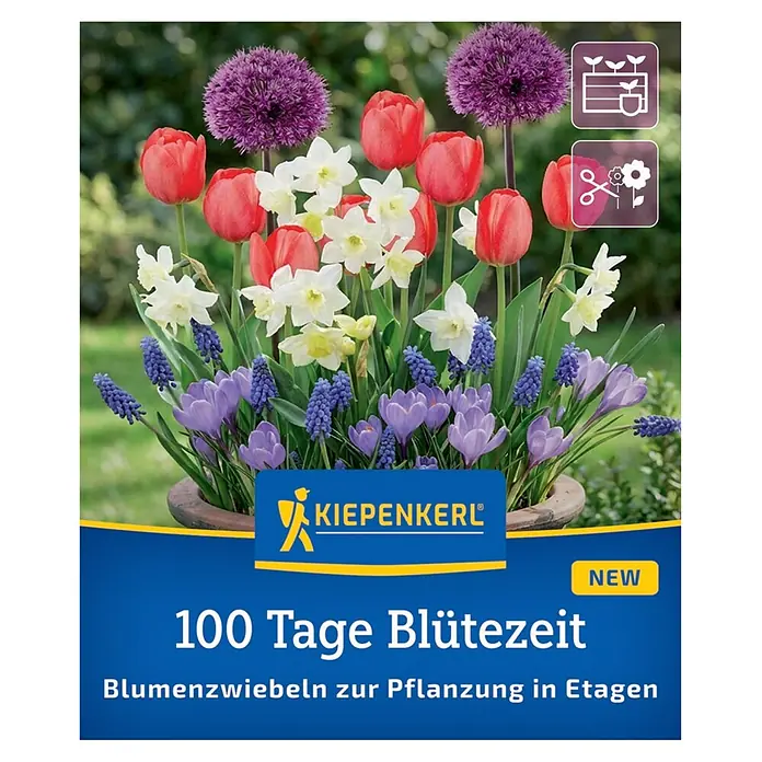 Kiepenkerl Profi-Line Frühlingsblumenzwiebel-Mix 100 Tage Blütezeit